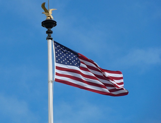 Free Flag Usa photo and picture
