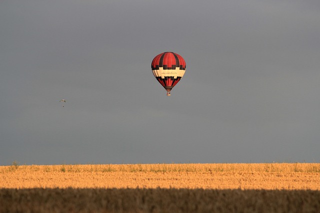 Free Hot Air Balloon Sky photo and picture