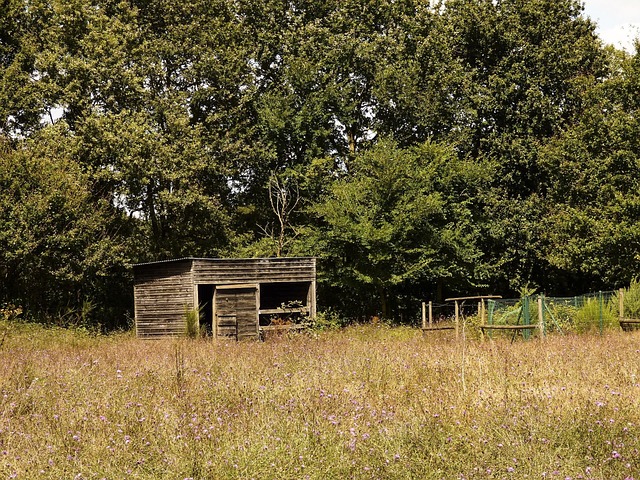Free Field Cabin photo and picture