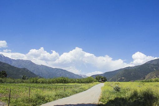Free Landscape Chili photo and picture
