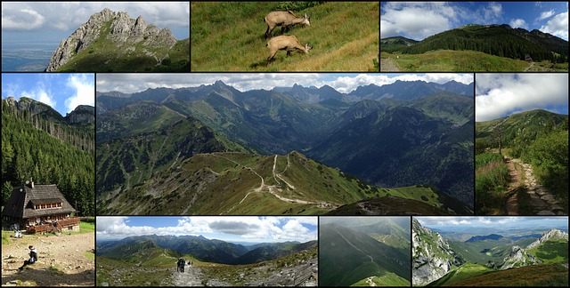 Free collage tatry mountains illustration
