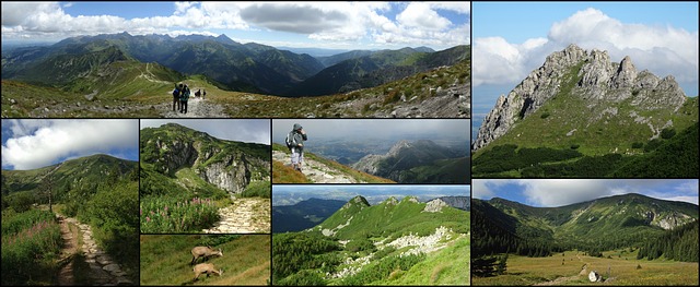 Free collage tatry mountains illustration