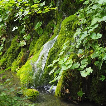Free Plitvice Lakes Nature photo and picture
