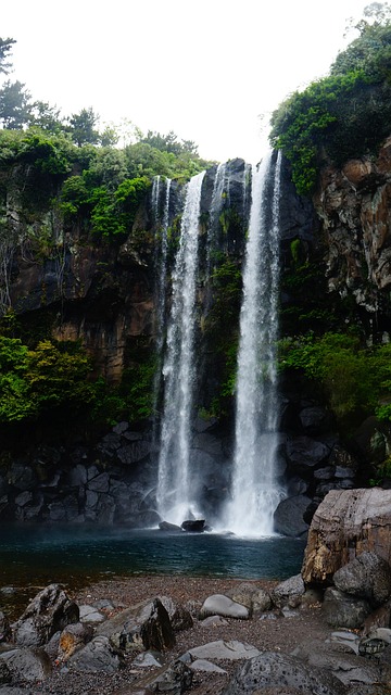 Free Jeju Island Jeongbang Falls photo and picture