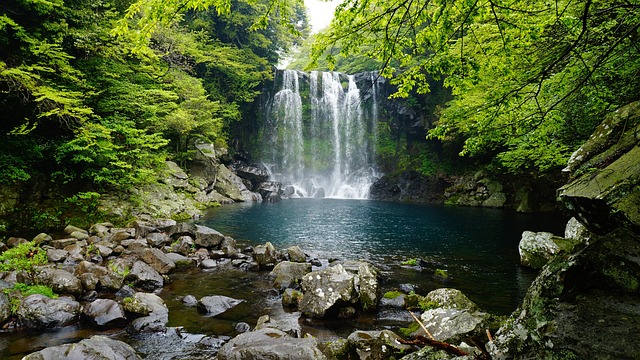 Free Cheonjeyeon Falls Jeju Island photo and picture
