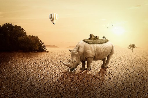 Free Rhino Landscape illustration and picture