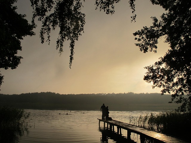 Free The Fog Lake photo and picture