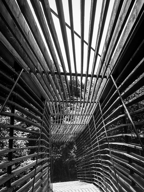 Puente, Sendero
