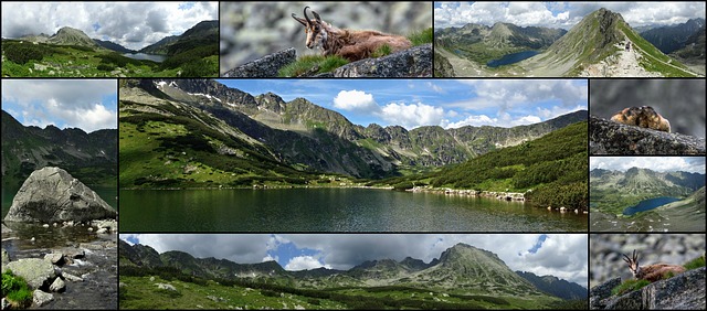 Free collage tatry mountains illustration