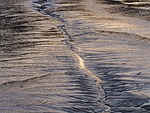mud, low, tide