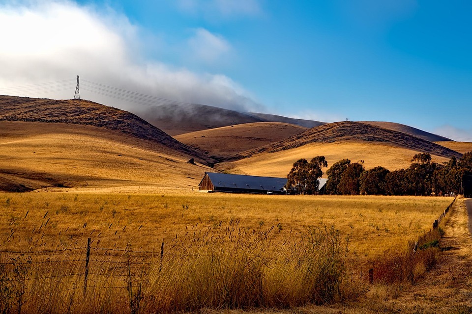 Farm Ranch California - Free photo on Pixabay