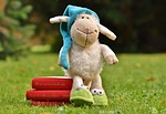 sheep, sleepyhead, meadow