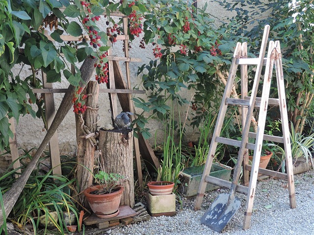 Free Garden Ladder photo and picture