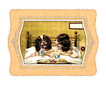 dog, cavalier, canine