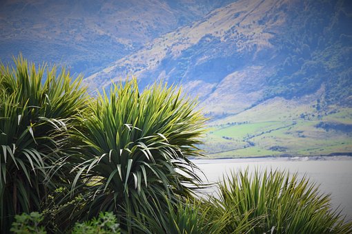 Free Nature Scenery photo and picture