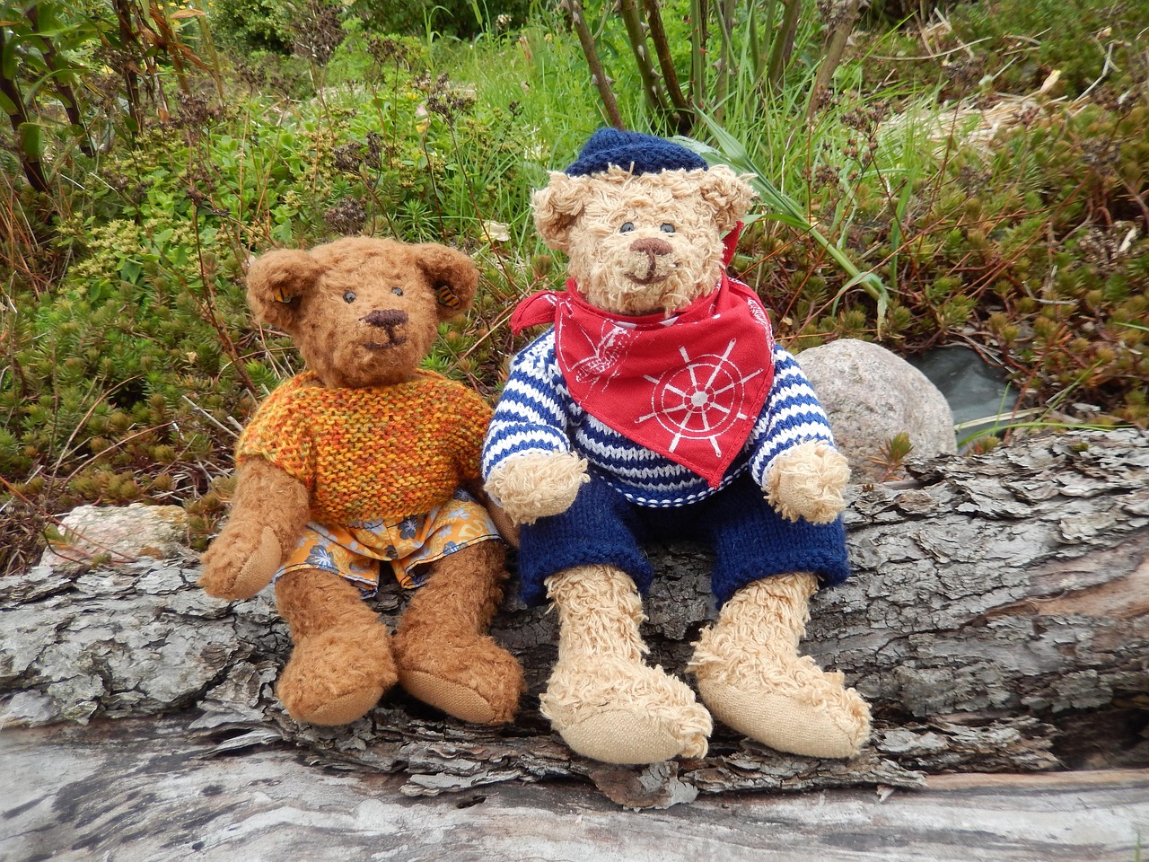 Bear Teddy Bears Toy - Free photo on Pixabay - Pixabay