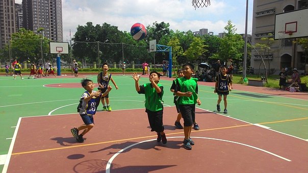 Free Basketball Bullfight photo and picture