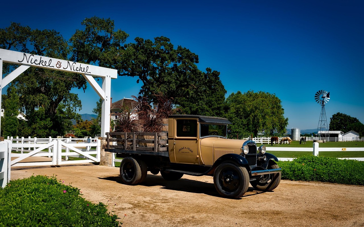 Winery - free online jigsaw puzzle photo