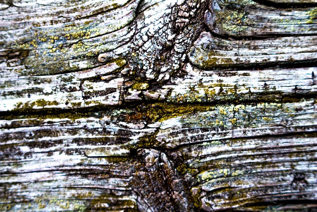 Free Wood Old photo and picture