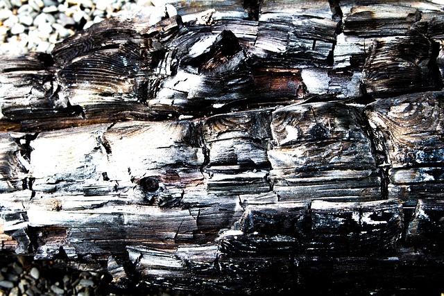 Free Burned Wood photo and picture
