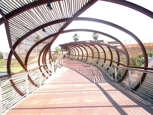 Free Bridge Bamboo photo and picture