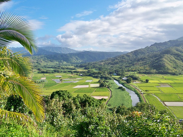 Free Kauai Hawaii photo and picture