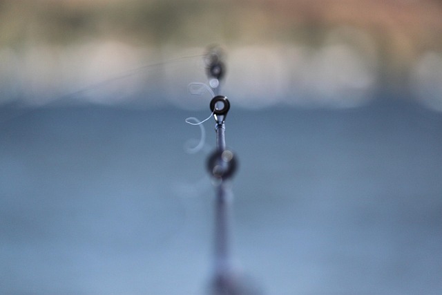 Free Fishing Rod Fishing Line photo and picture