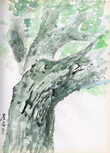 Free Tree Sketch illustration and picture