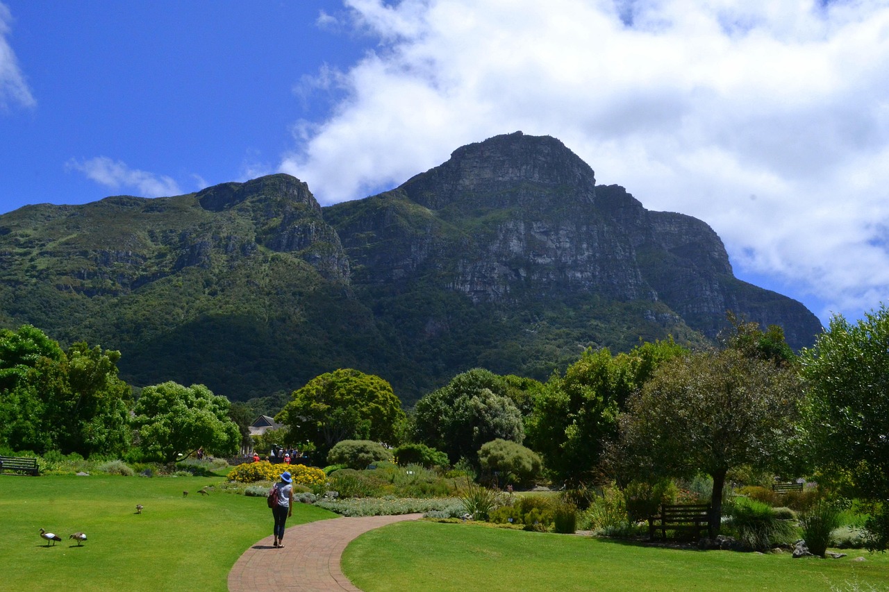 Botánico, África Ciudad del Cabo, Sudáfrica