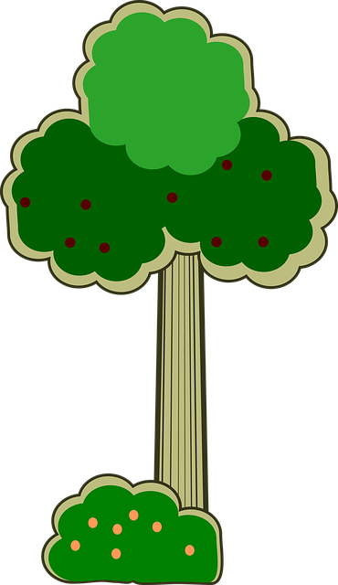 Free Tree Leaf vector and picture