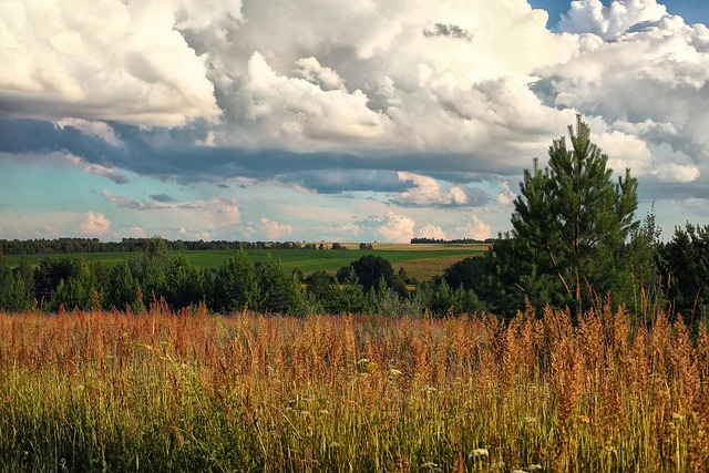 Free Russia Udmurtia photo and picture