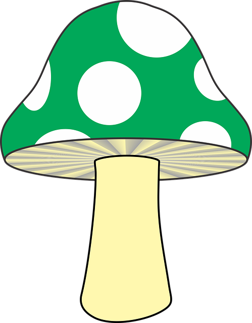 Free Mushroom Nature vector and picture