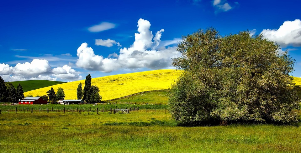 Twilight Blue >> Free photo: Idaho, Farm, Panorama, Fields - Free Image on Pixabay - 1602027 Twilight Blue >> Free photo: Idaho, Farm, Panorama, Fields - Free Image on Pixabay - 1602027