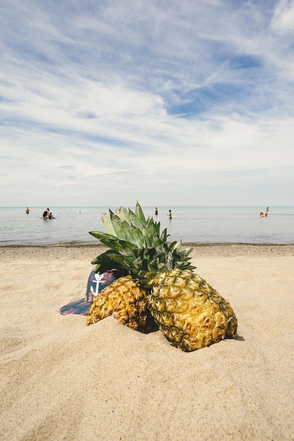 Free Pineapples Sand photo and picture