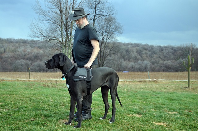 Free Man Dog photo and picture