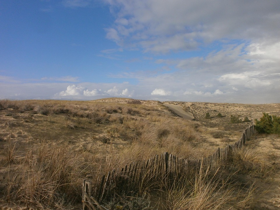 Beach Dunes Sand - Free photo on Pixabay - Pixabay