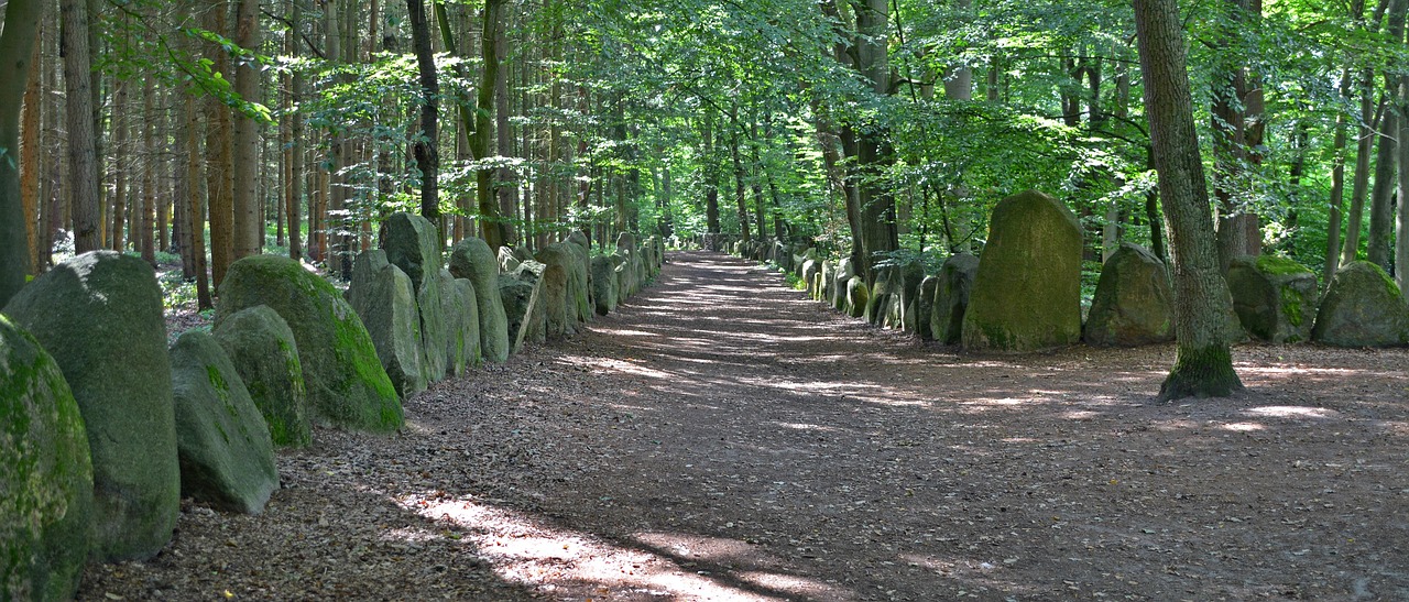 Memorial Path Sachsenhain - Free photo on Pixabay - Pixabay