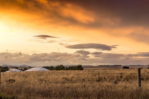 Free Agriculture Farm photo and picture