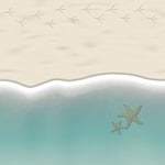 beach, sand, shore