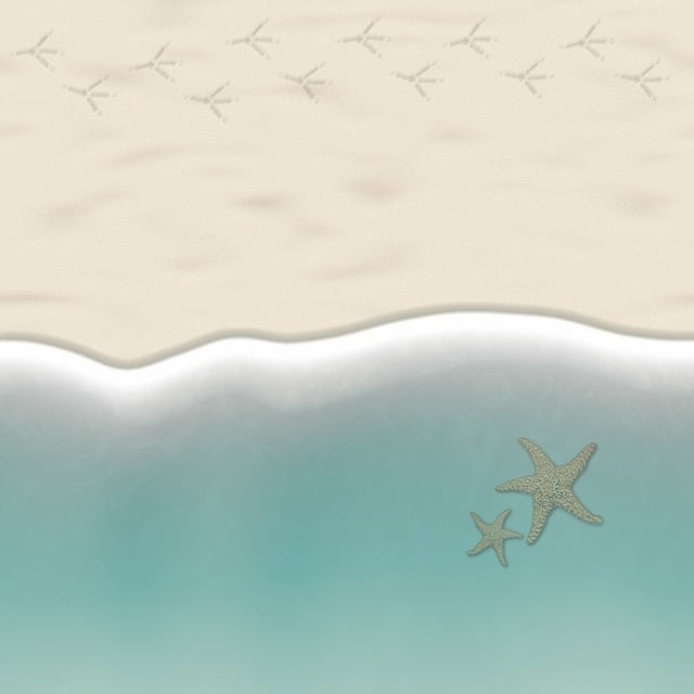 Free Beach Sand illustration and picture