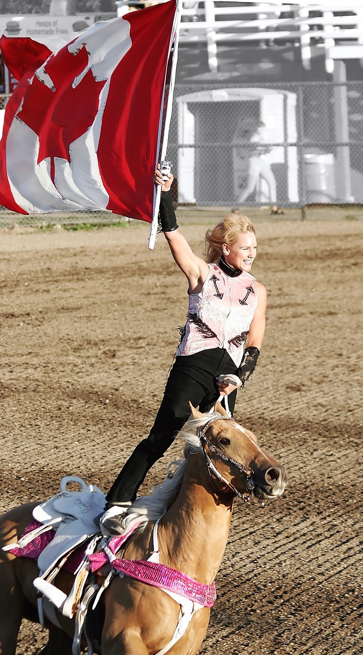 Horse Rider Rodeo - Free photo on Pixabay - Pixabay