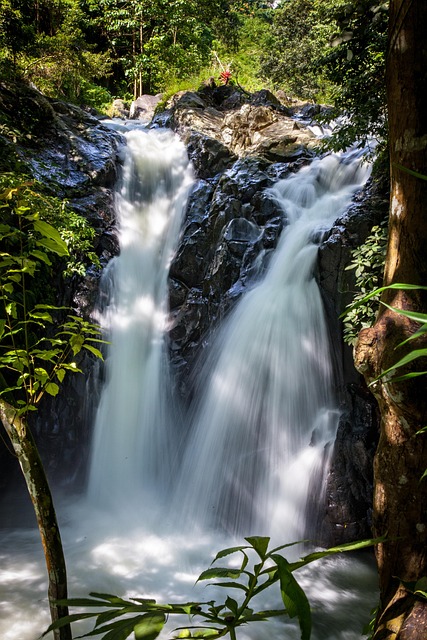 Free Waterfall Nature photo and picture