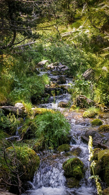 Free Cascade Water photo and picture