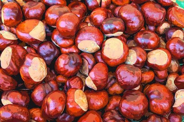 Free chestnuts fall to dye illustration