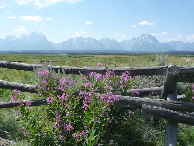 Free Grand Teton National Park photo and picture