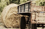 agriculture, trailers, commercial vehicle