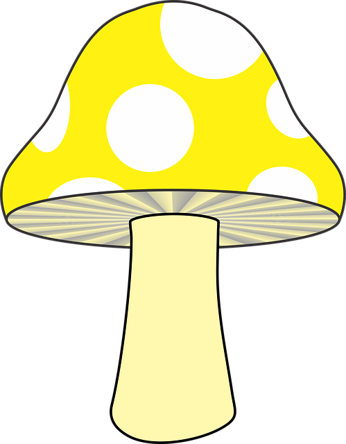 Free mushroom nature yellow mushroom vector