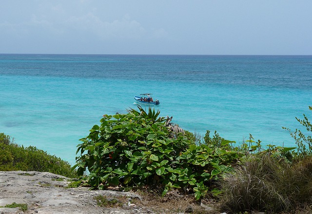 Free Mexico Yucatan photo and picture