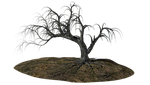 tree, old, ill