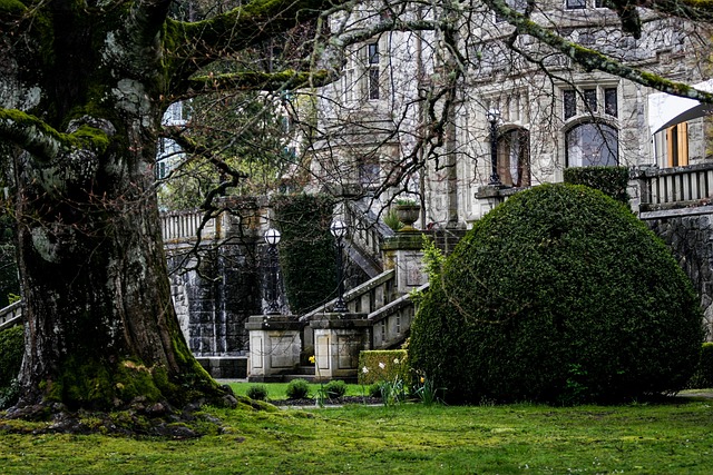 victorian home, castle, ancient, architecture, mansion, residence, antique, vintage, classic, flowers, tranquil, beautiful flowers, elegance, stone, garden, staircase, flower wallpaper, house, flower background, tree, foliage, nature, plant, stair, landscaping, old, building, stairway, grass, canada
